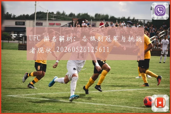 UFC 排名解析：各级别冠军与挑战者现状_20260526125611