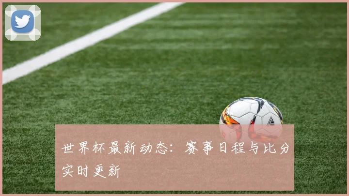 世界杯最新动态：赛事日程与比分实时更新
